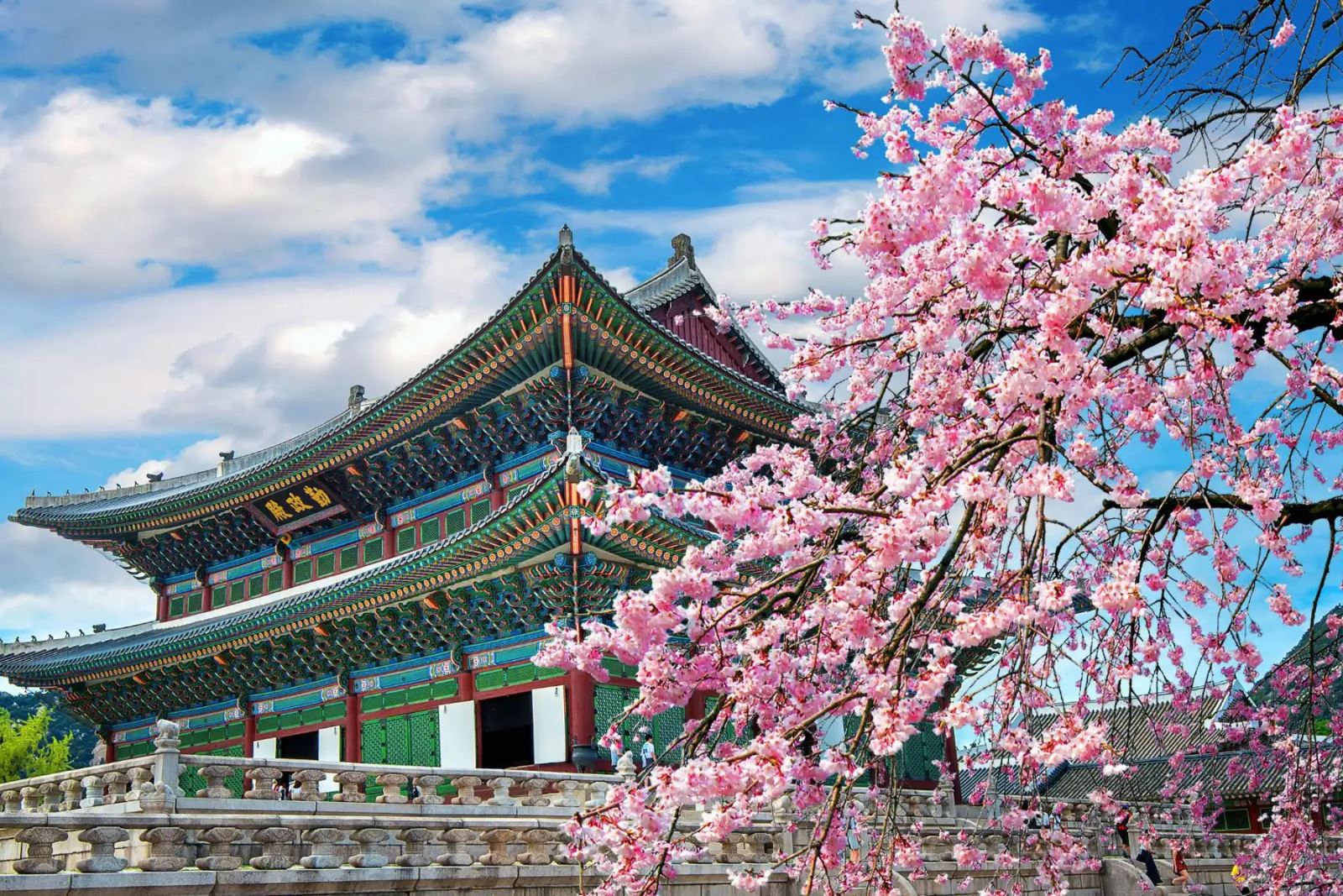 Hà Nội – Busan – Seoul – Incheon 6 Ngày 5 Đêm