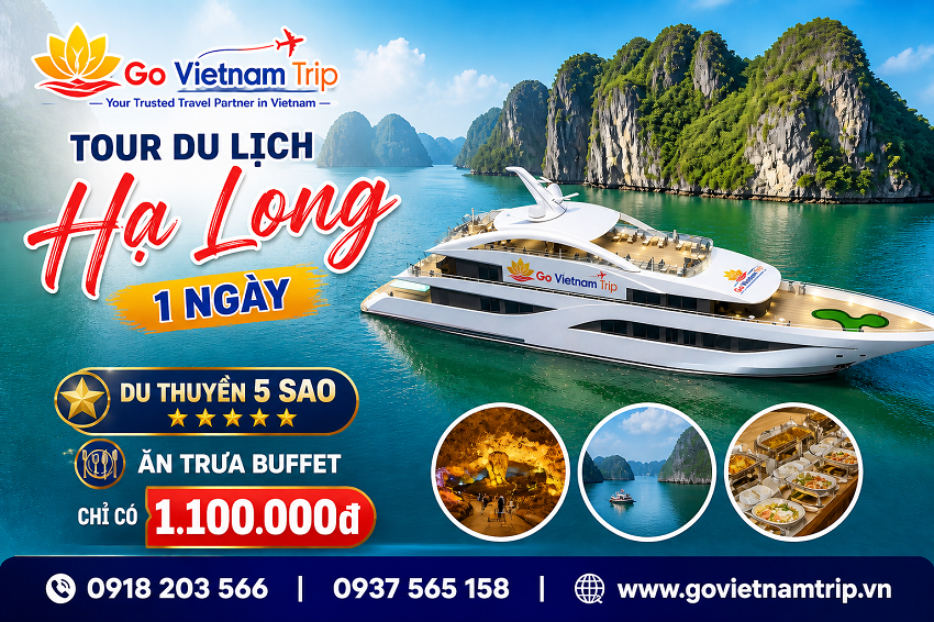 Tour Du Lịch Hạ Long 1 Ngày