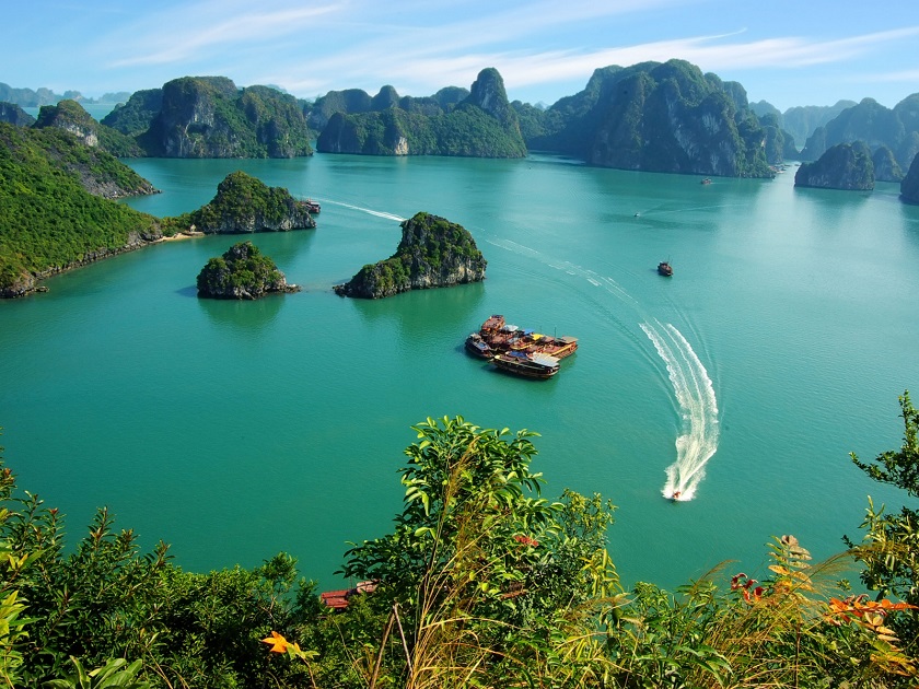 Tour Hà Nội - Cát Bà 1 Ngày
