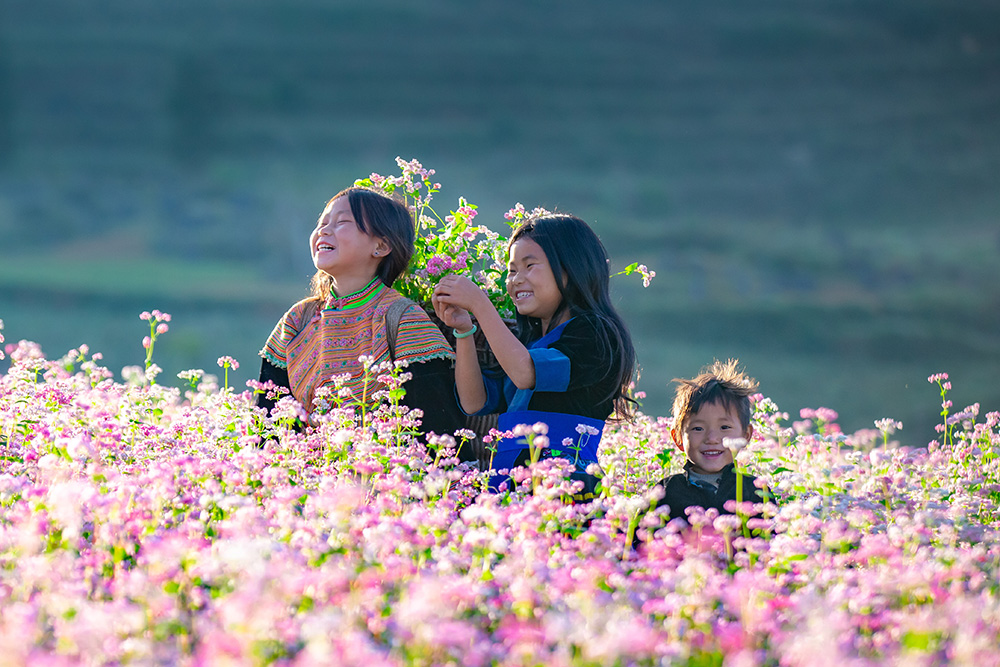 Tour Du Lịch Hà Giang 3 Ngày 2 Đêm