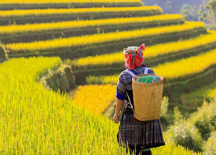 Tour Sapa 3 Ngày 2 Đêm 2026: Fansipan – Bản Cát Cát – Moana Sapa Giá Tốt