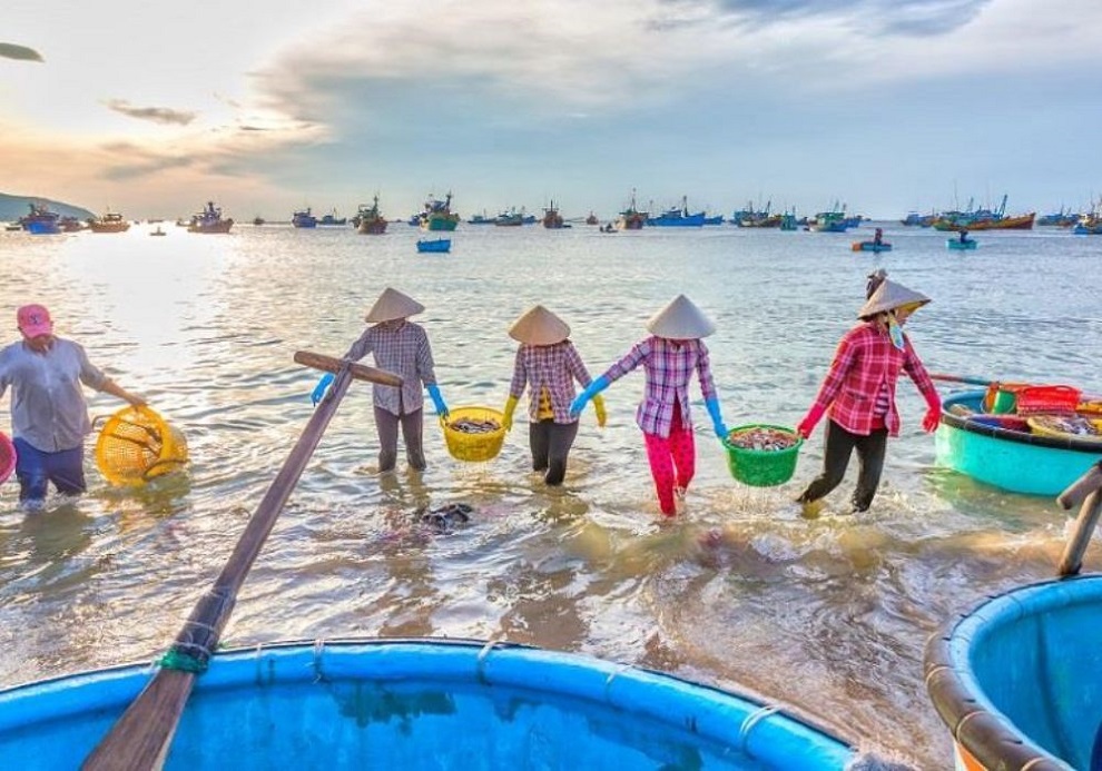Tour Suối Tiên Phú Quốc 1 Ngày | Khám Phá Thiên Nhiên Hoang Sơ